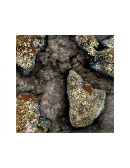 Костюм Omer Holo Stone 7 мм. Костюмы