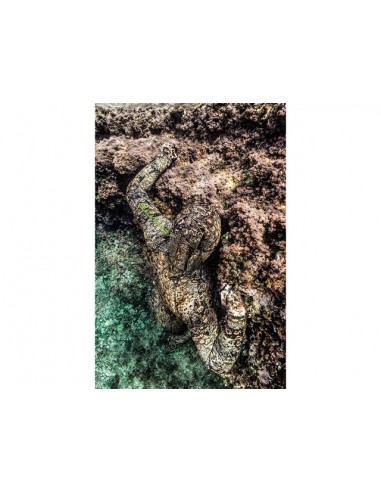 Wetsuit Salvimar Krypsis 7 mm. Wetsuits