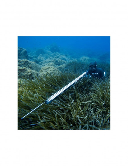 Harpune Pathos Laser Evo Pro Harpunen