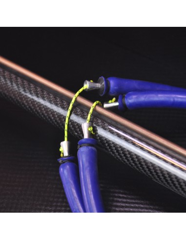 Harpune Bleutec Lycan Carbon Harpunen