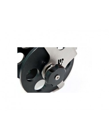 Reel Picasso Top Evo Reels